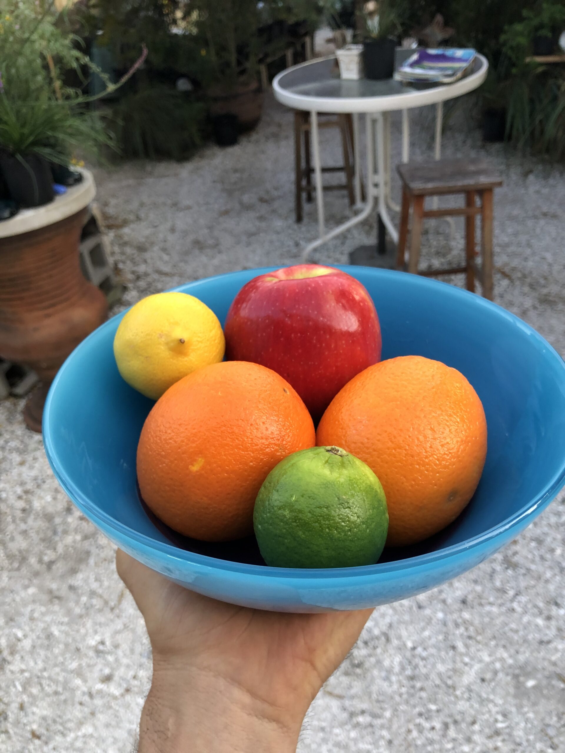 custom blown glass bowl for thanksgiving centerpiece fruit bowl
