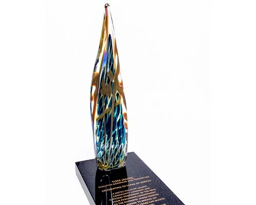 skyway-award